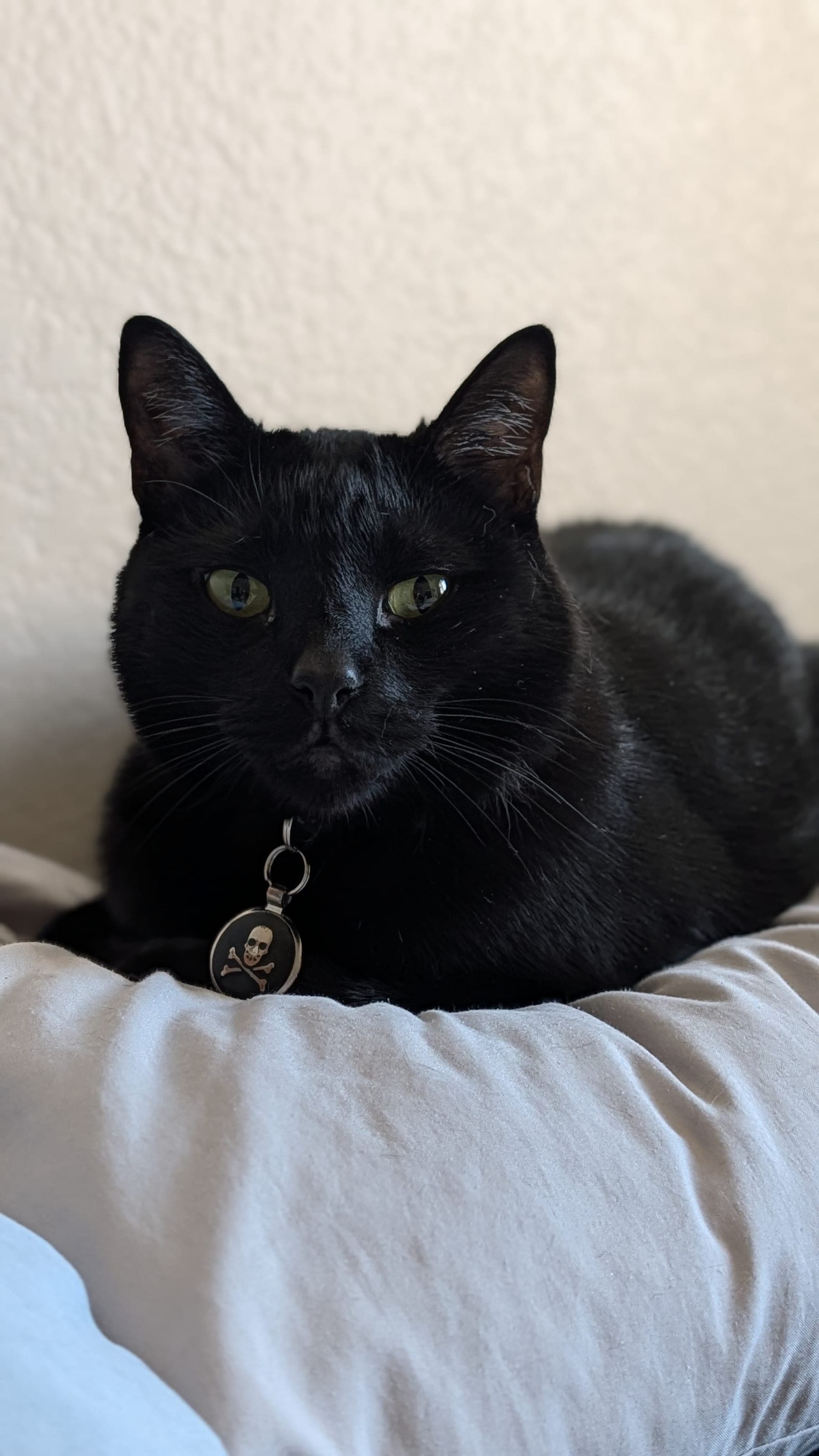 A quiet moment at the shelter